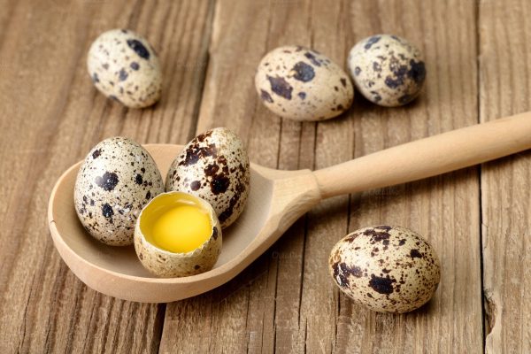 Как варить перепелиные яйца